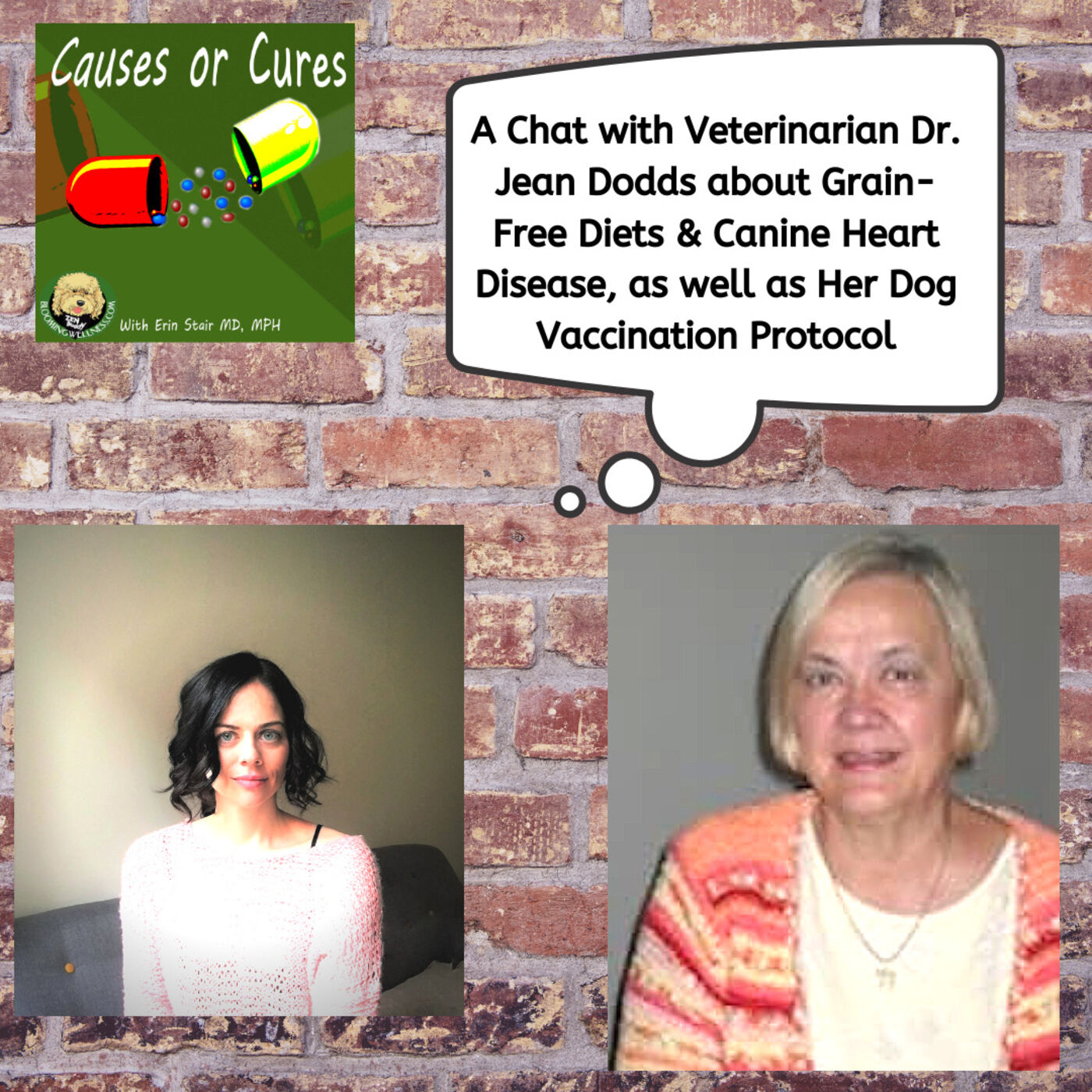 Ark Tekstforfatter Dangle The Grain-Free Diet in Dogs & Dog Vaccination Protocols: An Interview with  Dr. Jean Dodds